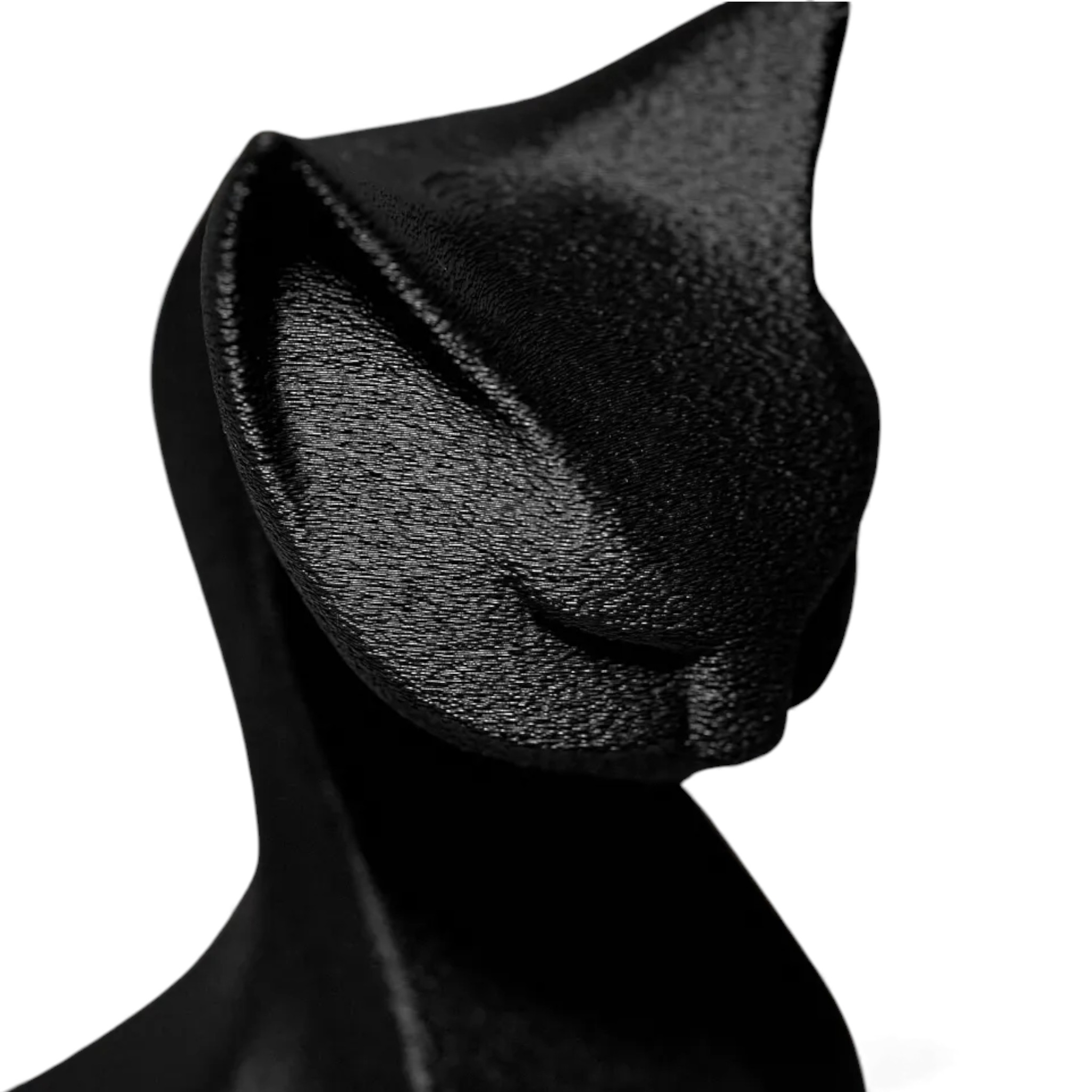 Elegant zittende katten beeld