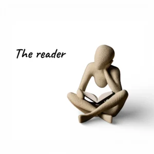 Nobodyseries-Reader
